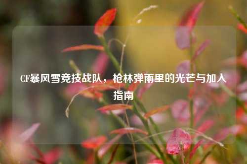 CF暴风雪竞技战队,枪林弹雨里的光芒与加入指南