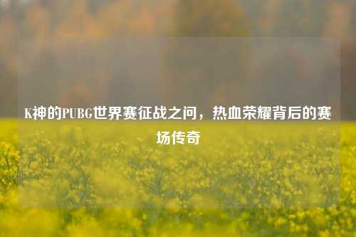 K神的PUBG世界赛征战之问,热血荣耀背后的赛场传奇