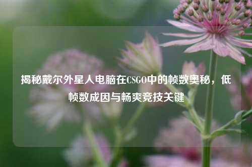 揭秘戴尔外星人电脑在CSGO中的帧数奥秘,低帧数成因与畅爽竞技关键
