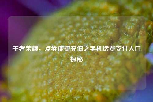 王者荣耀,点券便捷充值之手机话费支付入口探秘