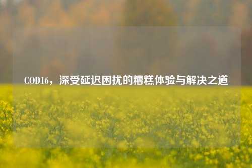 COD16，深受延迟困扰的糟糕体验与解决之道