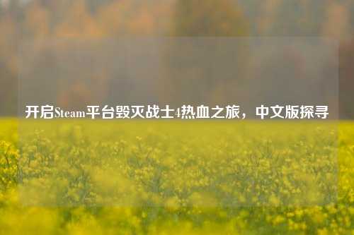 开启Steam平台毁灭战士4热血之旅，中文版探寻