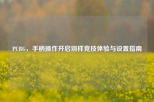 PUBG,手柄操作开启别样竞技体验与设置指南
