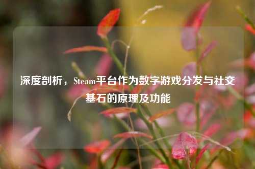 深度剖析，Steam平台作为数字游戏分发与社交基石的原理及功能