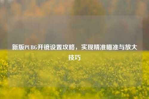 新版PUBG开镜设置攻略,实现精准瞄准与放大技巧