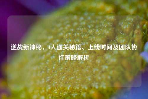 逆战新神秘,4人通关秘籍、上线时间及团队协作策略解析