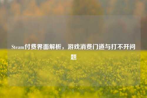 Steam付费界面解析,游戏消费门道与打不开问题