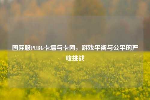 国际服PUBG卡墙与卡网,游戏平衡与公平的严峻挑战