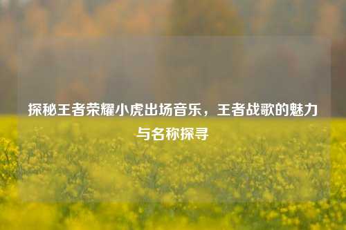 探秘王者荣耀小虎出场音乐,王者战歌的魅力与名称探寻