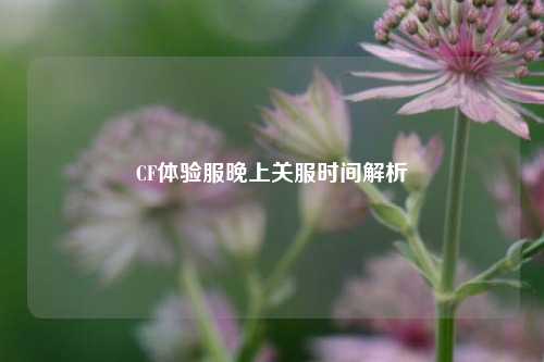 CF体验服晚上关服时间解析