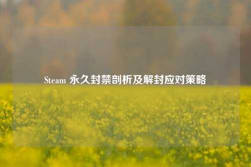 Steam 永久封禁剖析及解封应对策略