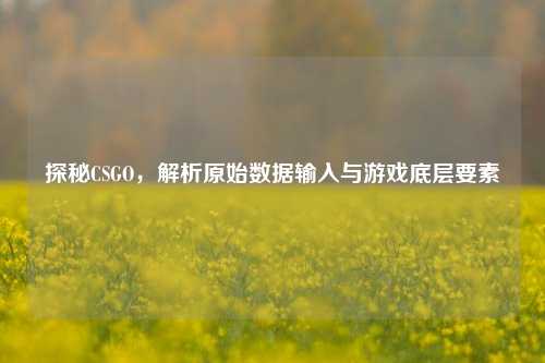 探秘CSGO，解析原始数据输入与游戏底层要素