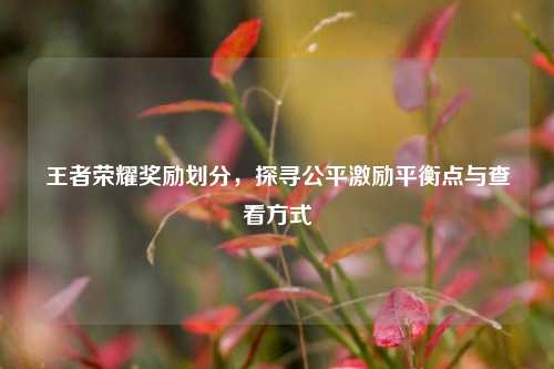 王者荣耀奖励划分,探寻公平激励平衡点与查看方式