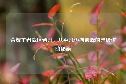 荣耀王者战区晋升,从平凡迈向巅峰的等级进阶秘籍