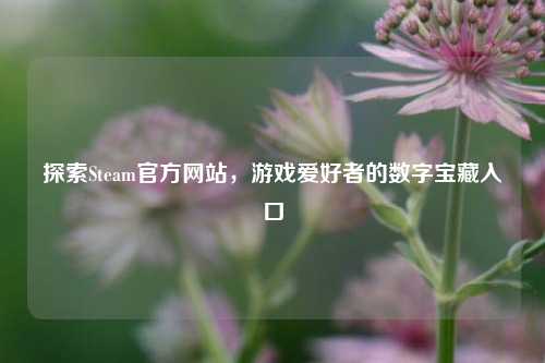 探索Steam官方网站,游戏爱好者的数字宝藏入口