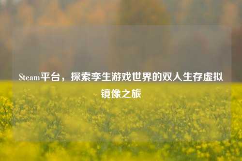 Steam平台,探索孪生游戏世界的双人生存虚拟镜像之旅