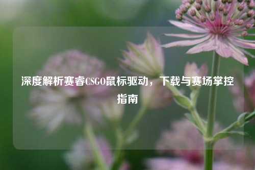 深度解析赛睿CSGO鼠标驱动,下载与赛场掌控指南