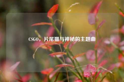 CSGO，片尾猫与神秘的主题曲