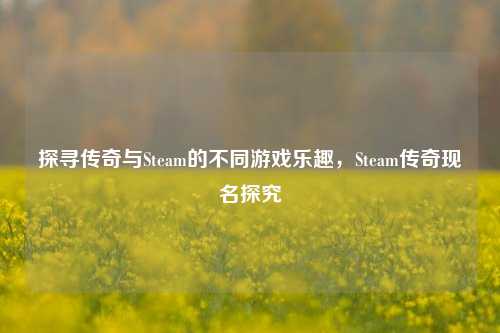 探寻传奇与Steam的不同游戏乐趣,Steam传奇现名探究