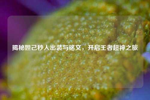 揭秘妲己秒人出装与铭文,开启王者超神之旅