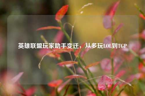 英雄联盟玩家助手变迁,从多玩LOL到TGP