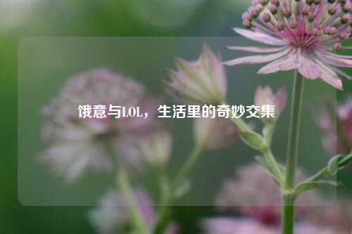 饿意与LOL,生活里的奇妙交集