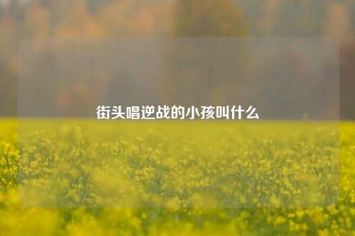 街头唱逆战的小孩叫什么