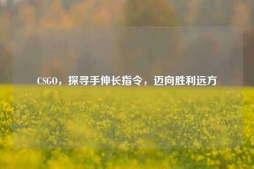 CSGO,探寻手伸长指令,迈向胜利远方