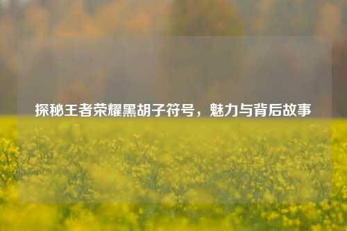 探秘王者荣耀黑胡子符号,魅力与背后故事