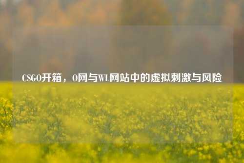 CSGO开箱,O网与WL网站中的虚拟刺激与风险