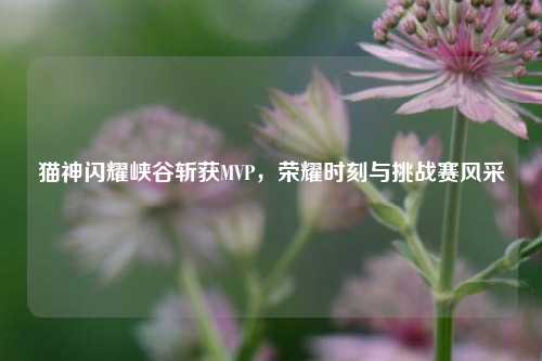 猫神闪耀峡谷斩获MVP，荣耀时刻与挑战赛风采