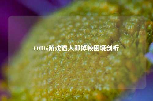 COD16游戏遇人即掉帧困境剖析