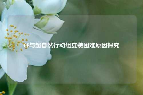 CF与超自然行动组安装困难原因探究