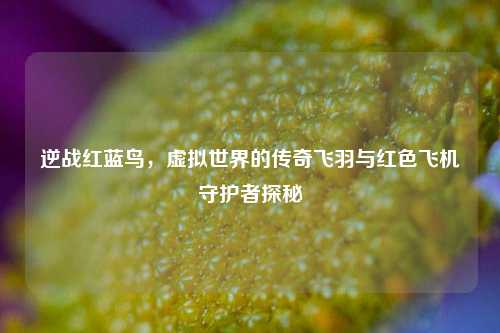 逆战红蓝鸟,虚拟世界的传奇飞羽与红色飞机守护者探秘