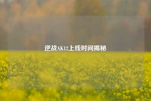 逆战AK12上线时间揭秘