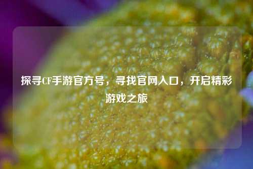 探寻CF手游官方号，寻找官网入口，开启精彩游戏之旅