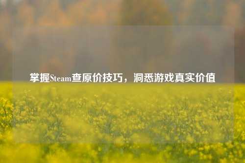 掌握Steam查原价技巧，洞悉游戏真实价值
