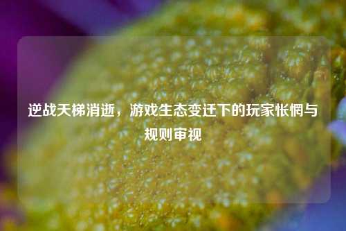 逆战天梯消逝,游戏生态变迁下的玩家怅惘与规则审视