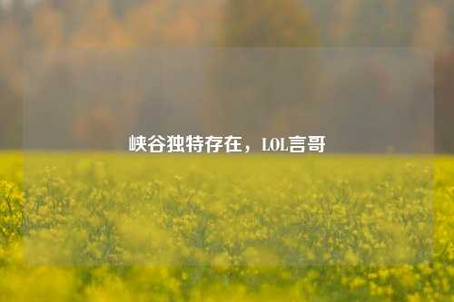峡谷独特存在，LOL言哥