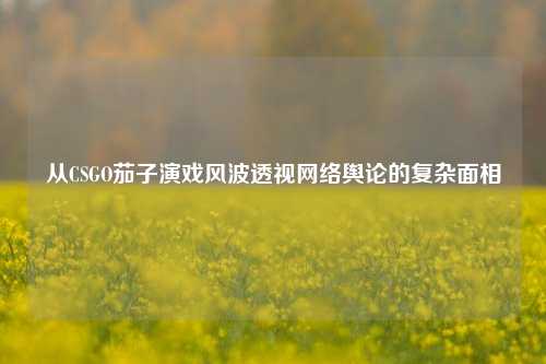 从CSGO茄子演戏风波透视网络舆论的复杂面相