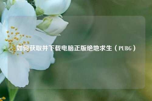如何获取并下载电脑正版绝地求生(PUBG)