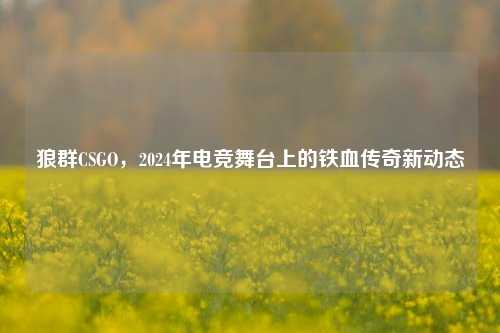 狼群CSGO,2024年电竞舞台上的铁血传奇新动态