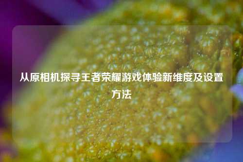 从原相机探寻王者荣耀游戏体验新维度及设置方法