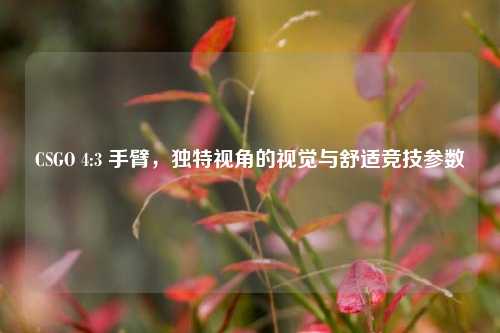 CSGO 4:3 手臂,独特视角的视觉与舒适竞技参数