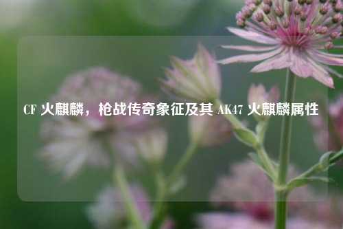 CF 火麒麟,枪战传奇象征及其 AK47 火麒麟属性
