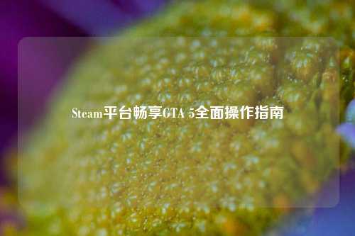 Steam平台畅享GTA 5全面操作指南
