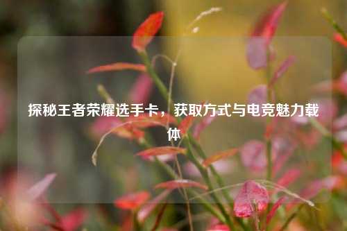 探秘王者荣耀选手卡，获取方式与电竞魅力载体