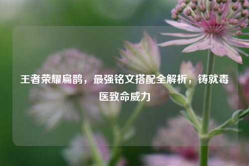 王者荣耀扁鹊,最强铭文搭配全解析,铸就毒医致命威力