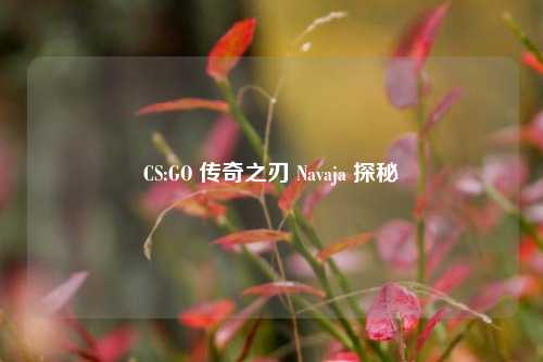 CS:GO 传奇之刃 Navaja 探秘