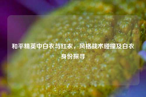 和平精英中白衣与红衣,风格战术碰撞及白衣身份探寻